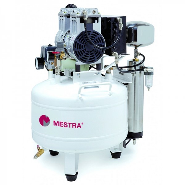 Mestra R-110310